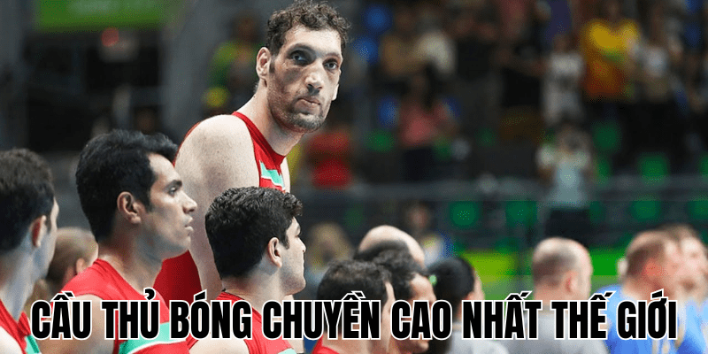 Cầu Thủ Bóng Chuyền Cao Nhất Thế Giới
