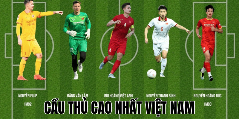 Cầu Thủ Cao Nhất Việt Nam
